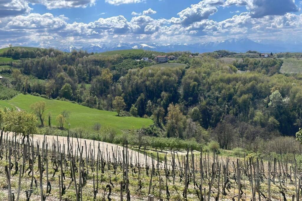 Spicchio Di Langa - Casa Indipendente Tra Le Vigne E Le Alpi Villa Belvedere Langhe Екстериор снимка
